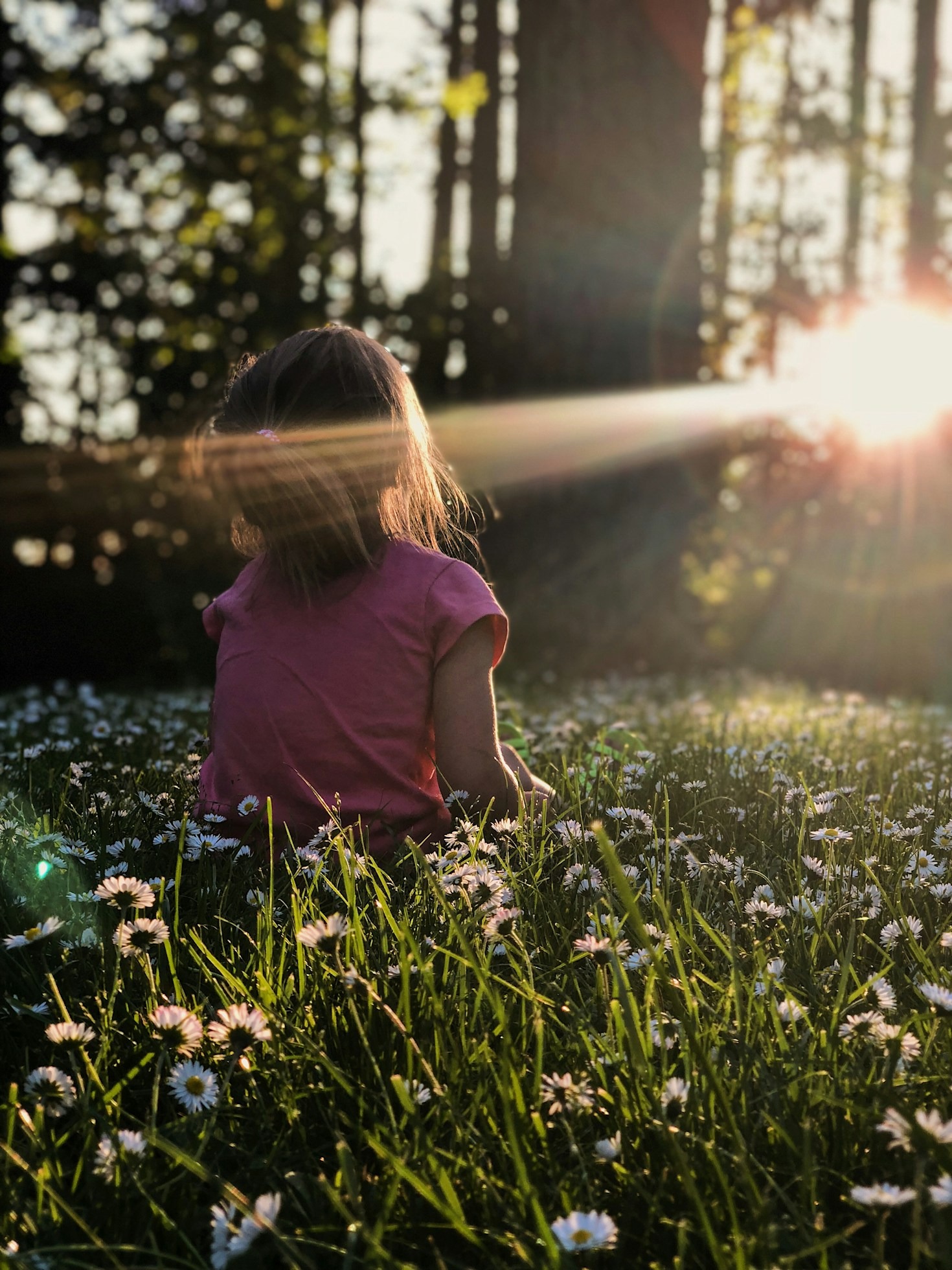 Mindfulness Practices for Collective Growth
