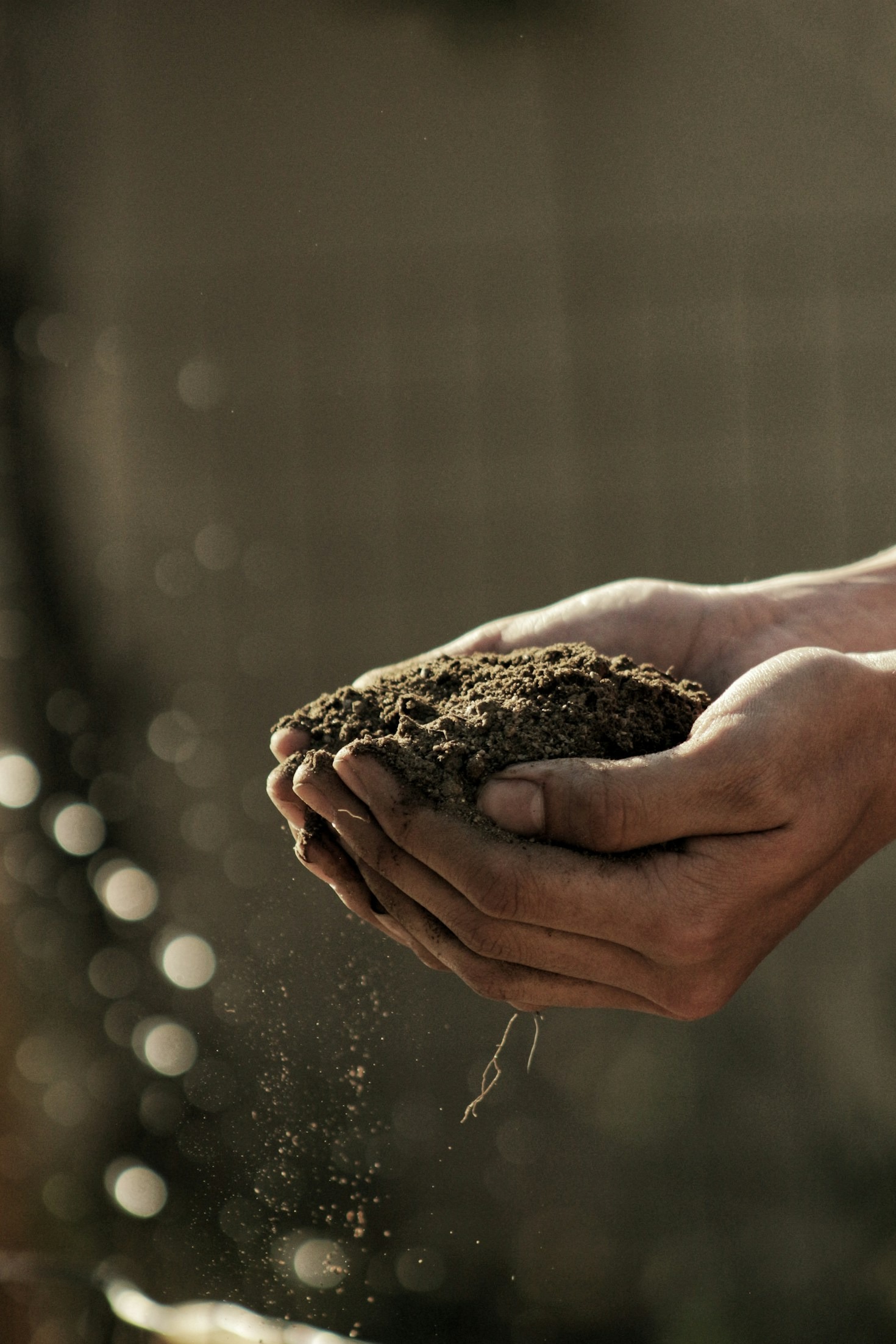 Harnessing the Power of Kindness to Inspire