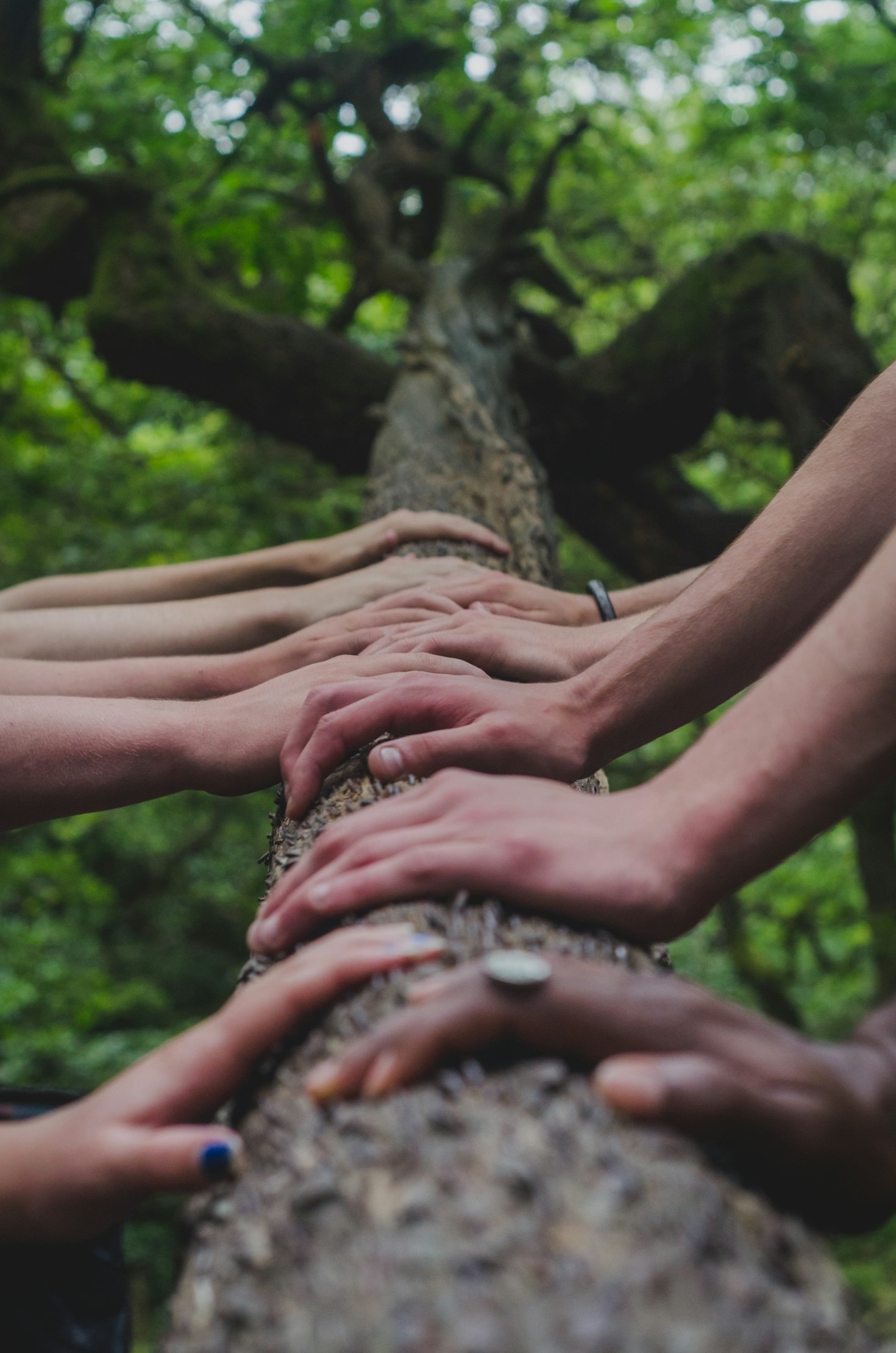 Exploring the Essence of Being Truly Human